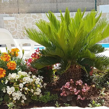 Jobst Διαμέρισμα *